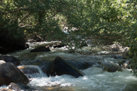 lots of water in creek